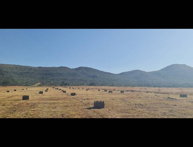 78HA VACANT LAND FOR SALE IN BUFFELSFONTEIN AH